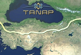 TANAP completed by over 80%, minister says